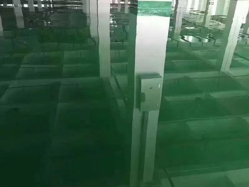 地坪漆施工的注意事項(xiàng)有哪些